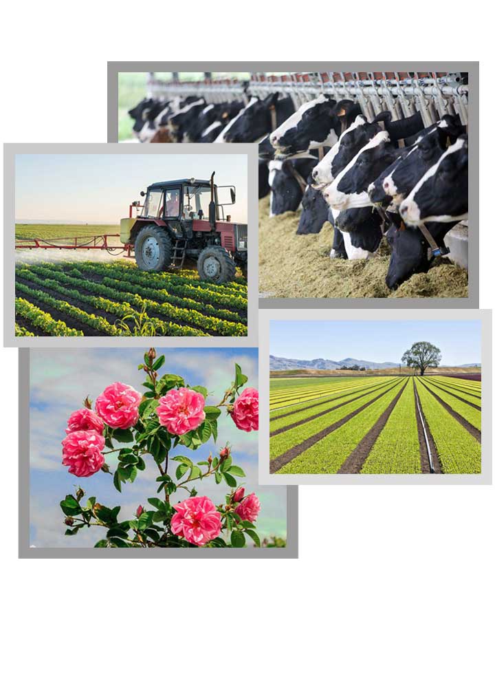 dairy-4pic.jpg
